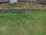 image of grave number 583161